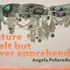 nature felt but never apprehended
