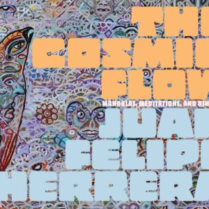 the cosmic flow